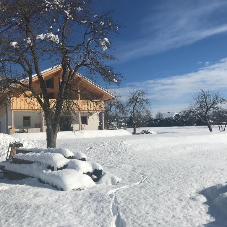 Alpenlodge Kirchbach - Apartment mit Blick auf die Berge - 28