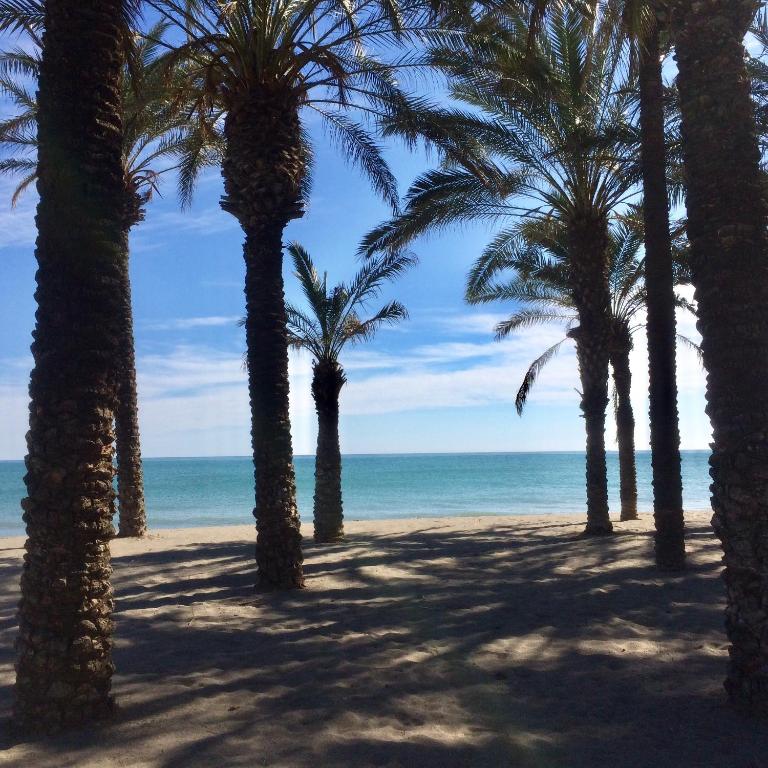 Apartamento La Malagueña - Apartamento de 1 dormitorio - 14