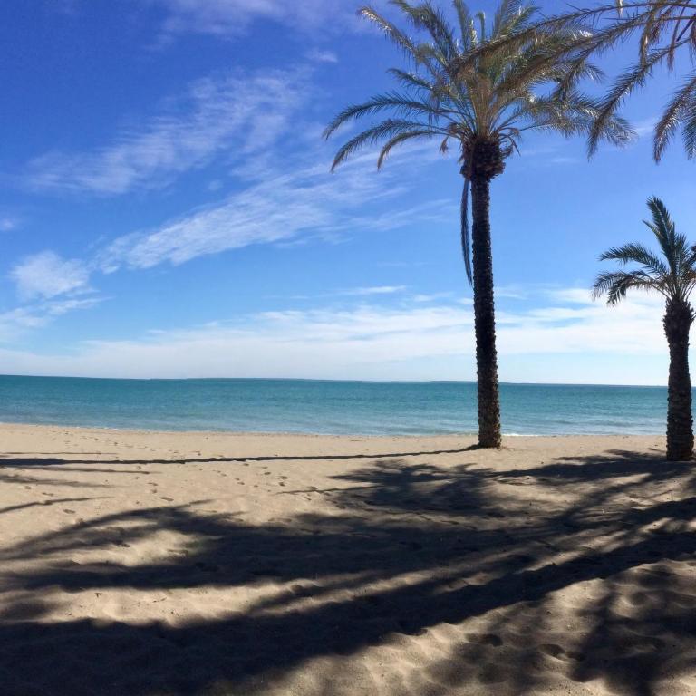Apartamento La Malagueña - Apartamento de 1 dormitorio - 13
