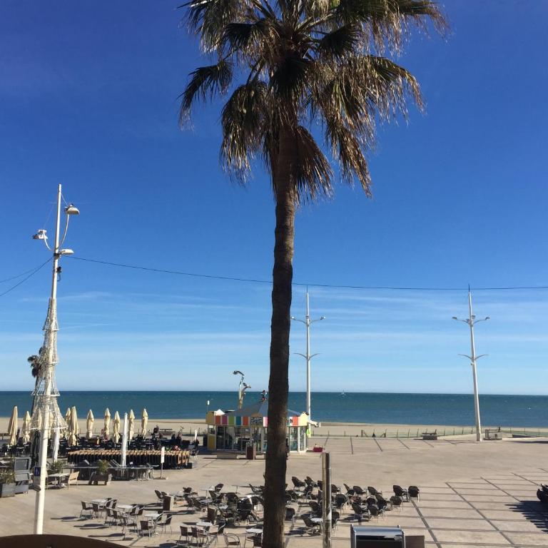 Appartement Front de Mer - Apartment with Sea View - 4
