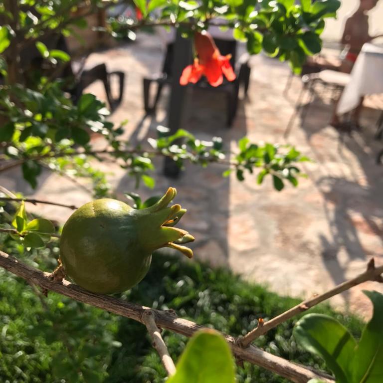 I trulli di Ginevra - Casa con 2 Camere da Letto - 18