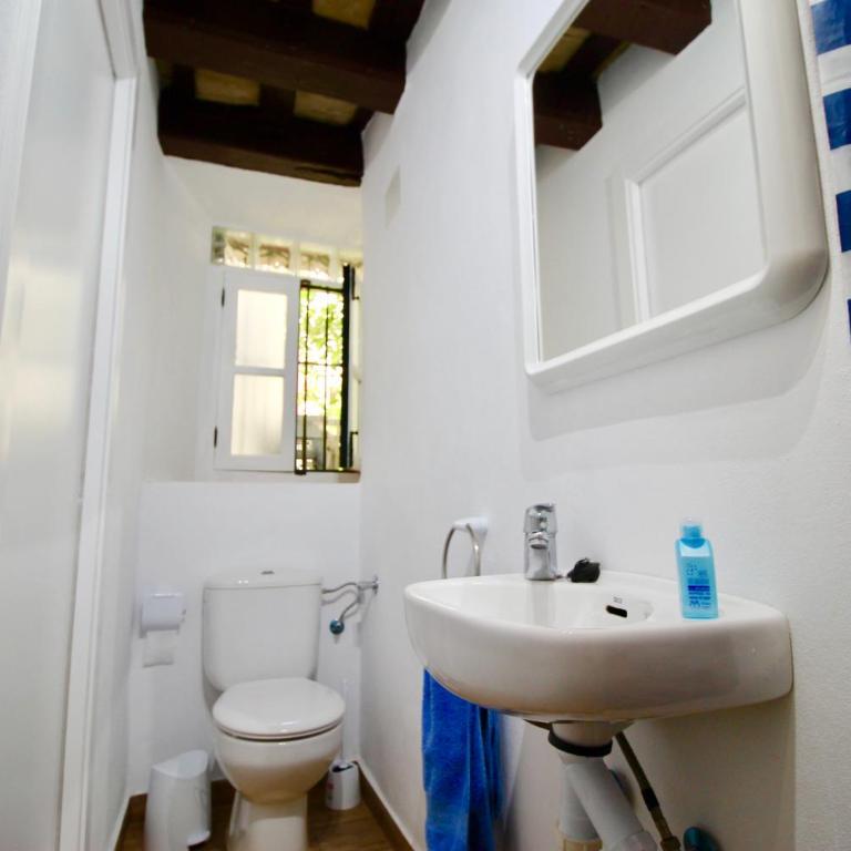 Apartamento Alegria - Apartamento de 1 dormitorio - 45