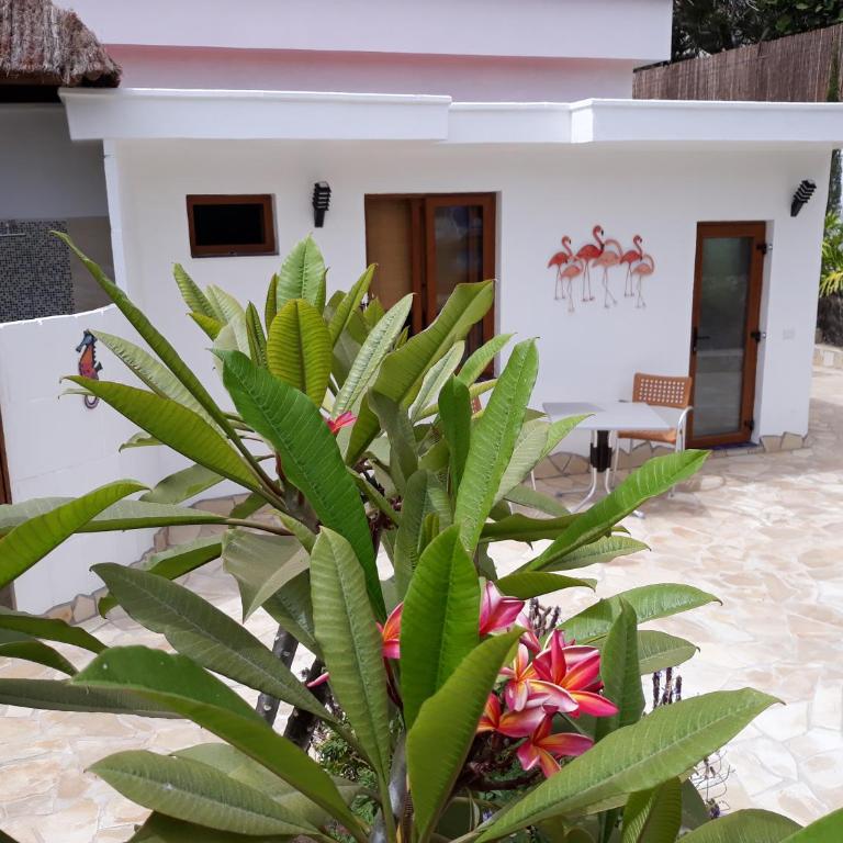 Villa La Perla - Apartamento de 1 dormitorio - 7