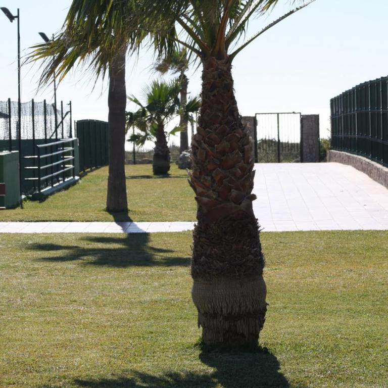 Playa Atlanterra, 1ª linea playa vistas al mar - Apartamento con vistas al mar - 64