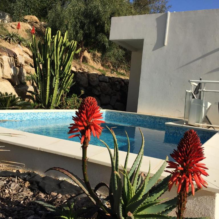 VIzzavona piscine et jacuzzi - Villa - 12