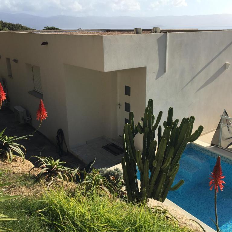 VIzzavona piscine et jacuzzi - Villa - 14