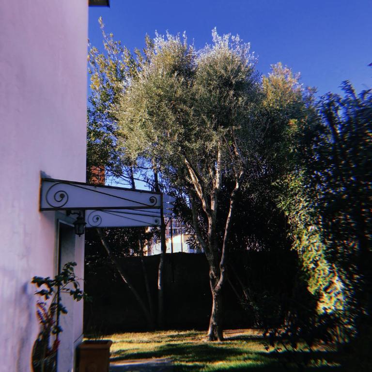 La Casa dei Fiori - Two-Bedroom Apartment - 52