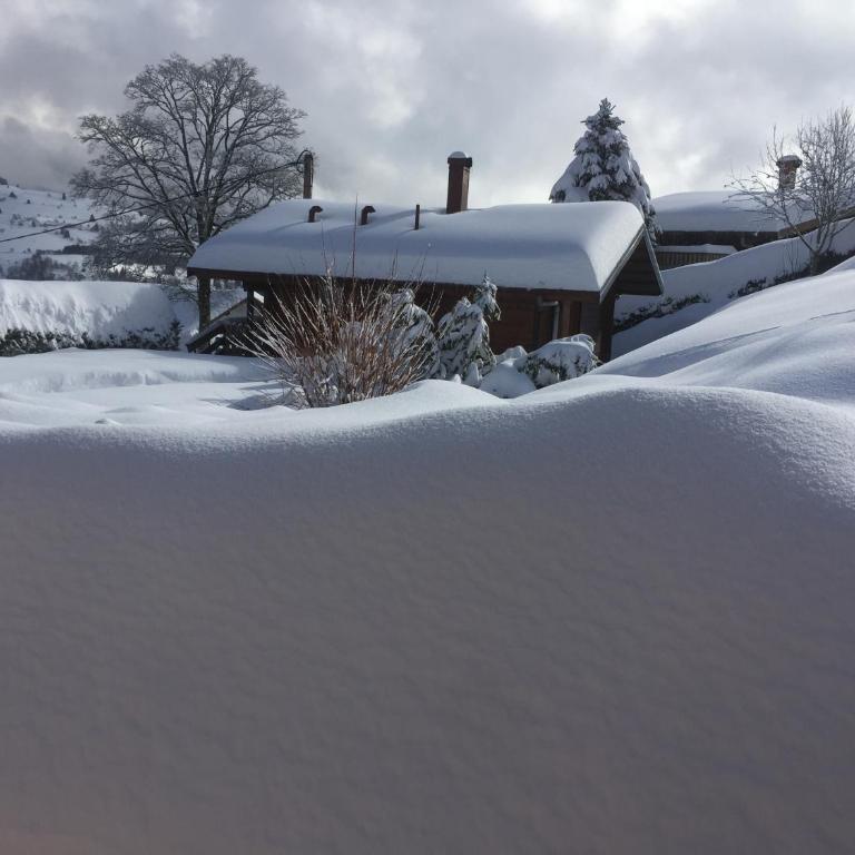 Les Bruyeres wi fi - Chalet - 5