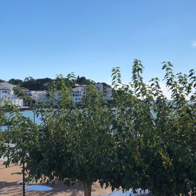 PASSEIG - Apartamento único en el centro - Apartamento de 3 dormitorios - 2