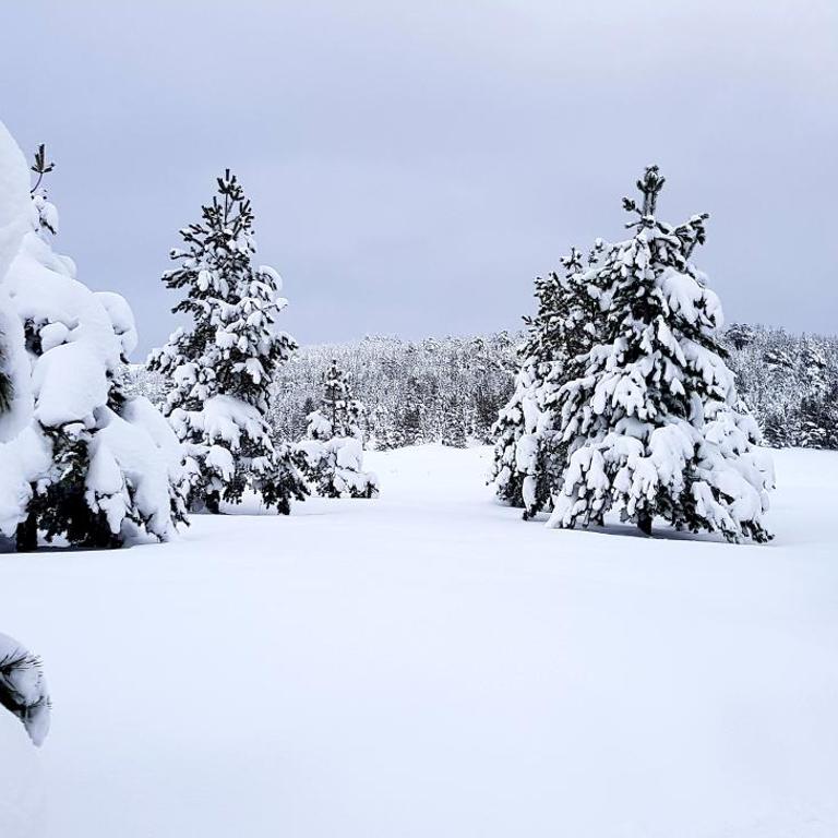 Previja Zlatibor Chalet - Brvnara sa 1 Spavaćom Sobom - 23