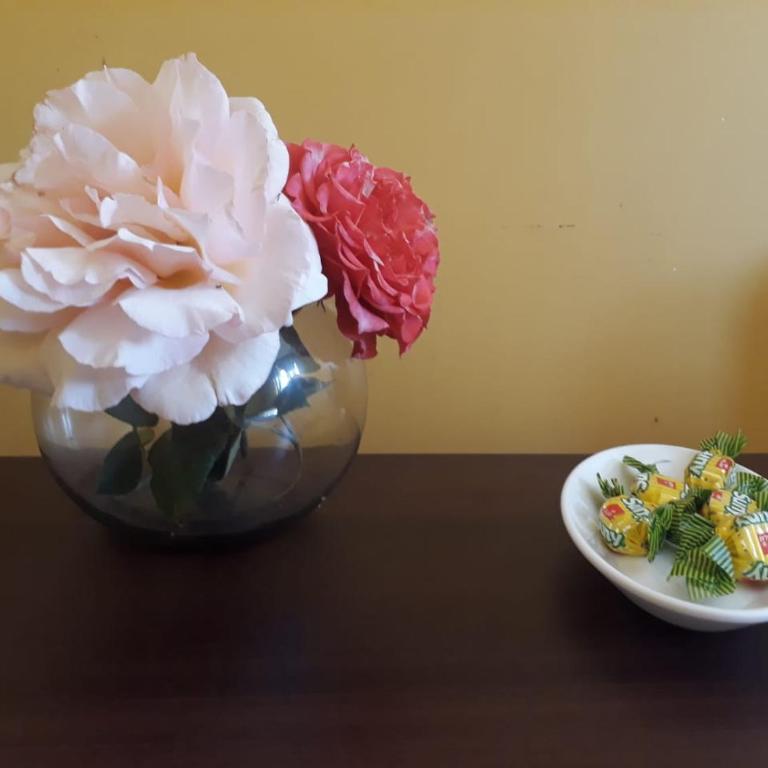 La Casa de las Flores - Standard Double Room with Shared Bathroom - 2