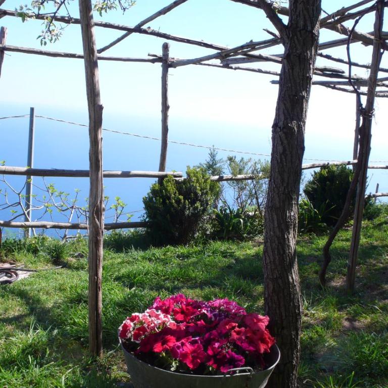 Ancient Medieval Chapel - Villa with Sea View - 9