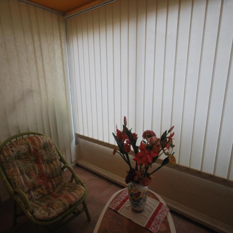 Appartement 1 Chambre Petit Juas - Appartement 1 Chambre - 9