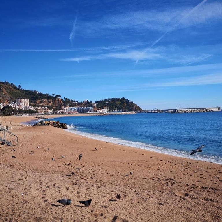 Fantástico Apartamento en el centro de Blanes y a 150mts de la Playa - Apartamento de 3 dormitorios - 23