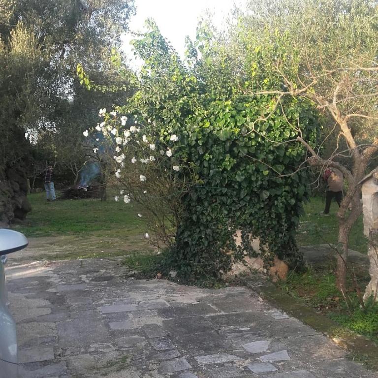 Casa Polinisso - Appartamento con 1 Camera da Letto - 6