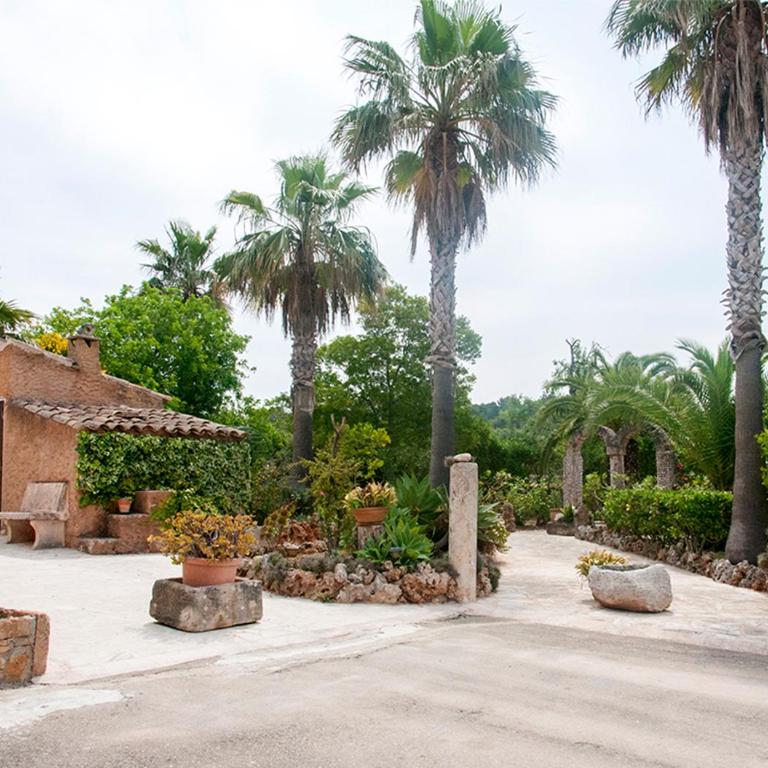 Finca típica mallorquina CAN PUÇA - Casa de 4 dormitorios - 22