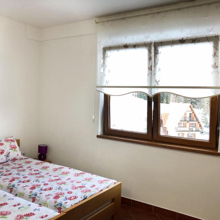 Vila Nina Kopaonik - Studio Apartment - 5
