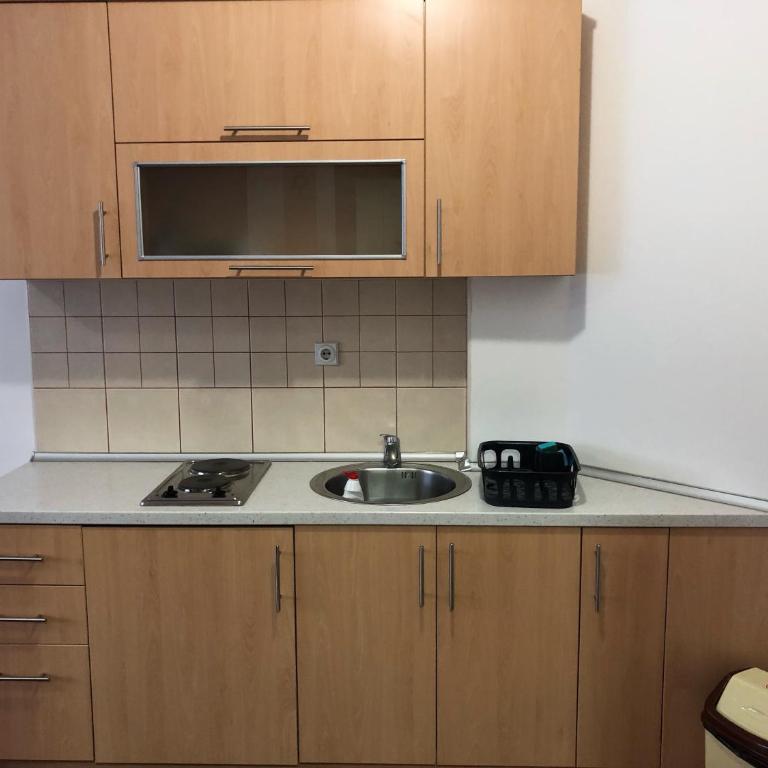 Vila Nina Kopaonik - Studio Apartment - 2