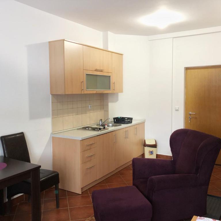 Vila Nina Kopaonik - Studio Apartment - 7