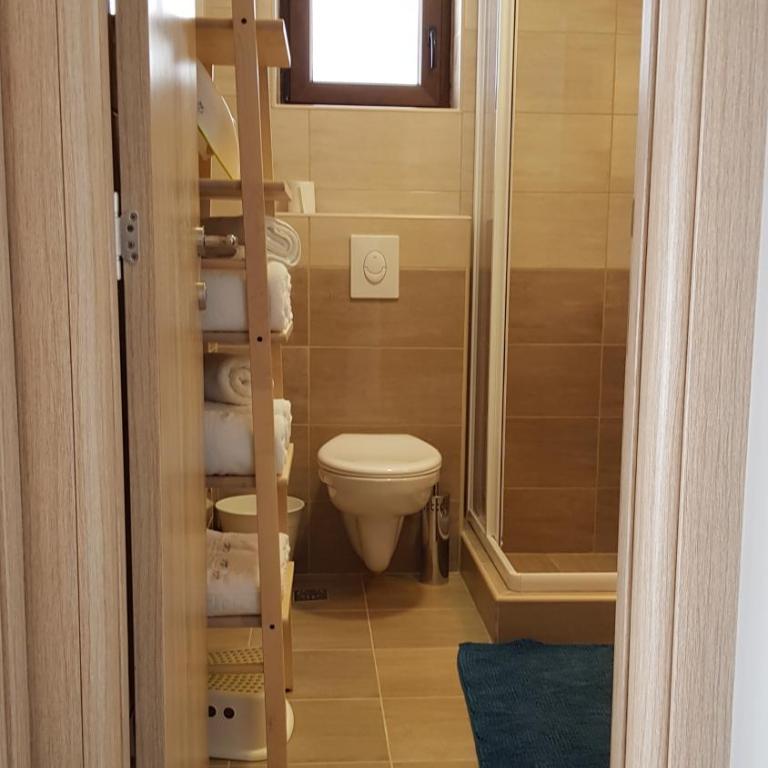 VNB apartman Tornik-Zlatibor - Duplex Apartment - 77