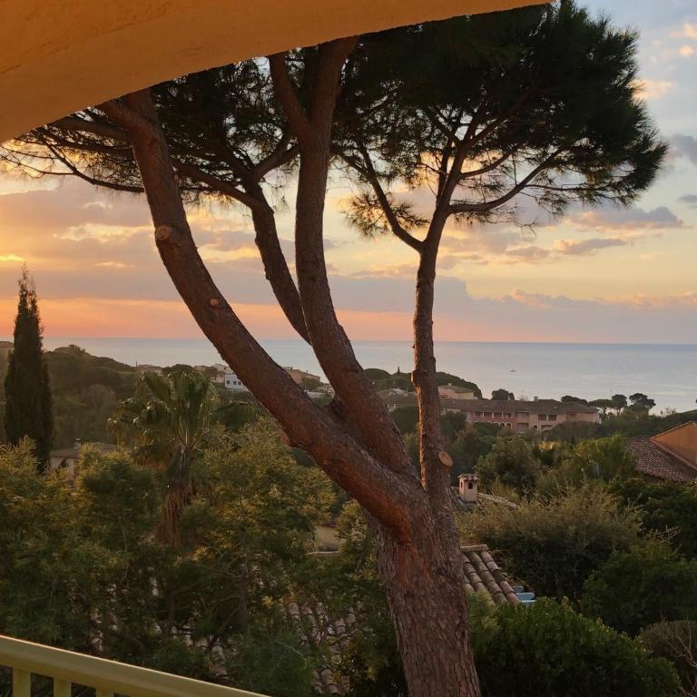 Villa Patrimoine - Villa - Vue sur Mer - 35