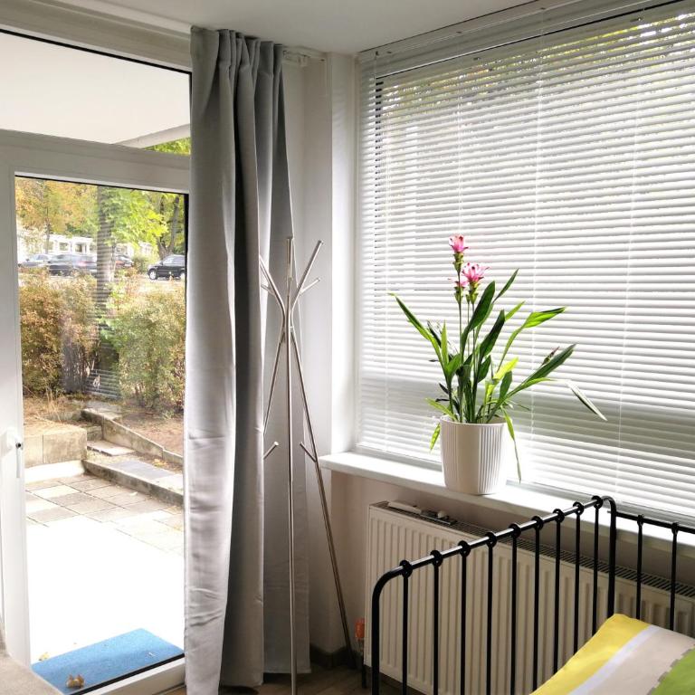 Central-Apt at Lake, CityCenter 5min, Fair 18min!!! - Apartamento con terraza - 20