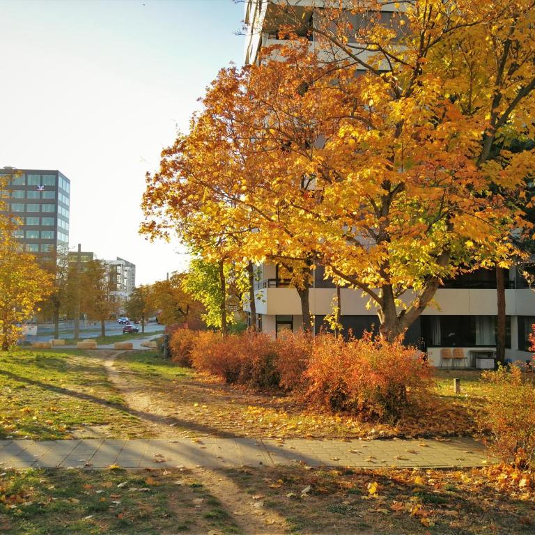 Central-Apt at Lake, CityCenter 5min, Fair 18min!!! - Apartamento con terraza - 25