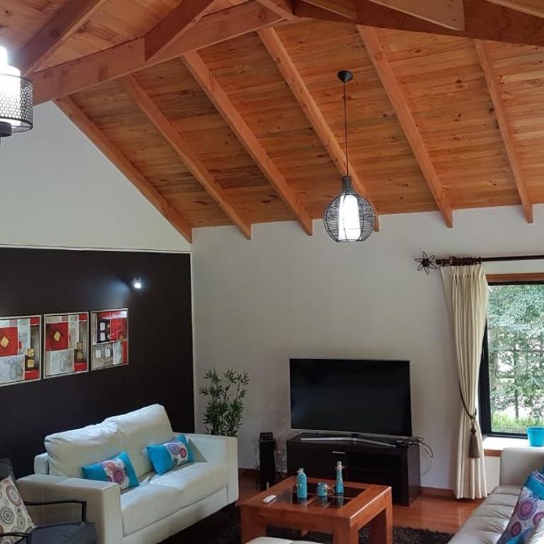 Brisas del Lago Pucon - Vacation Home - 8