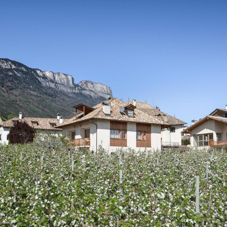 Pizzol-hof - Appartamento con 1 Camera da Letto - 1