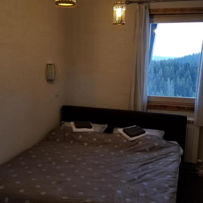 Top Lux Zupa - Two-Bedroom Apartment - 6