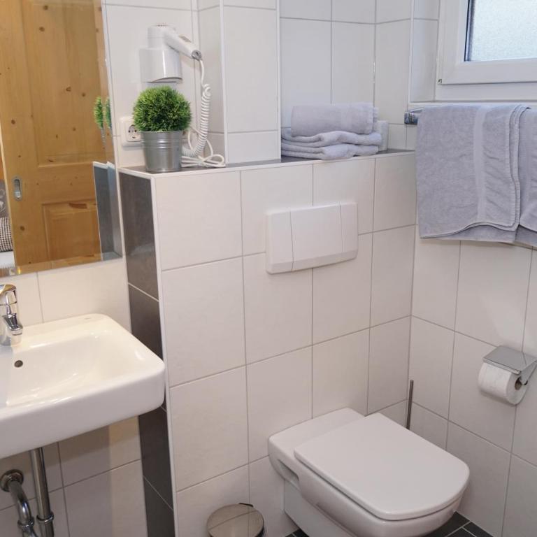 Appartement Schmid - Appartamento Comfort (5 Adulti) - 16