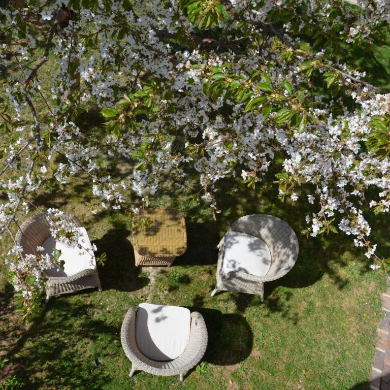 Pizzol-hof - Appartamento con 1 Camera da Letto - 6