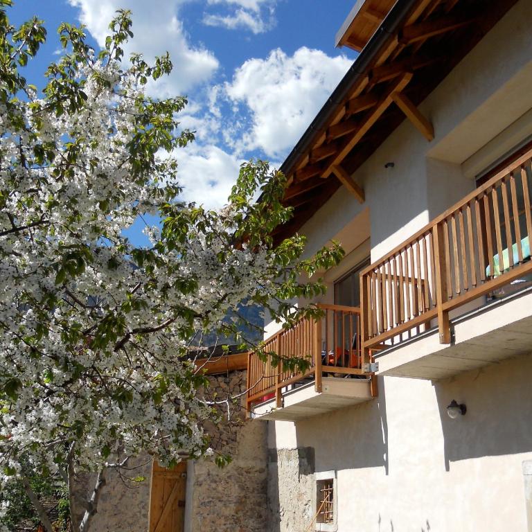 Pizzol-hof - Appartamento con 1 Camera da Letto - 5