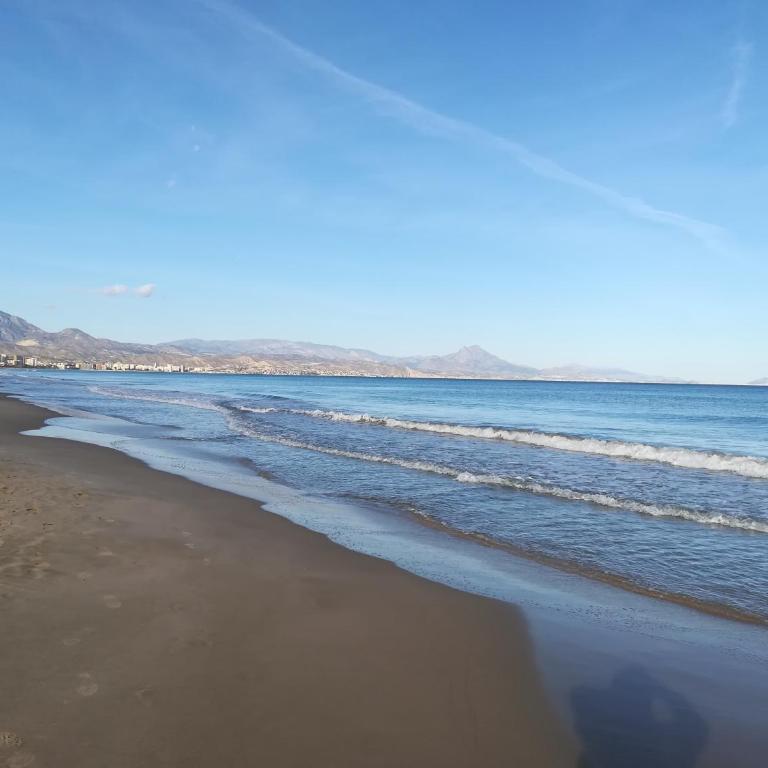 Playa San Juan Alicante - Apartment - 13