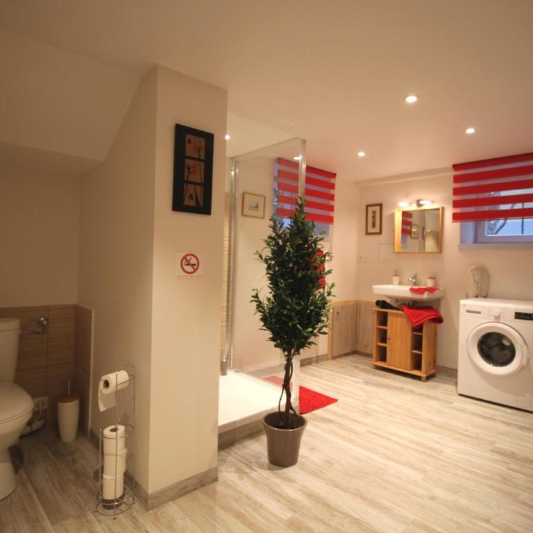 Confort et calme à Colmar - Suite Lit Queen-Size - 7
