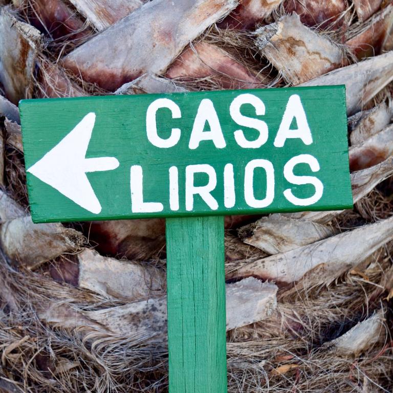 Casa Lirios - Villa - 11