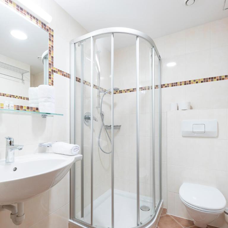 Tuxerstübl - Habitación Doble Clásica - 5
