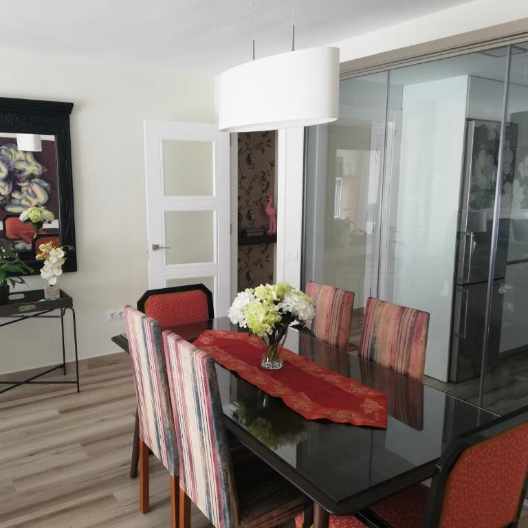 Apartamento Aurora - Apartamento - 12