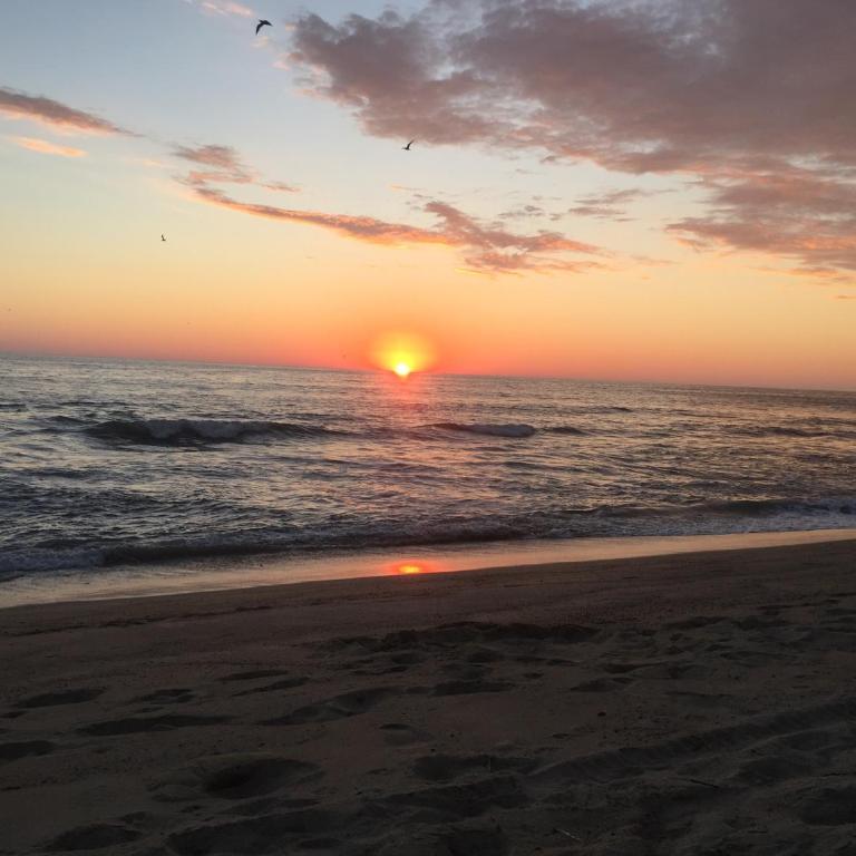 Beachfrontguesthouse - Estudio con vistas al mar - 5