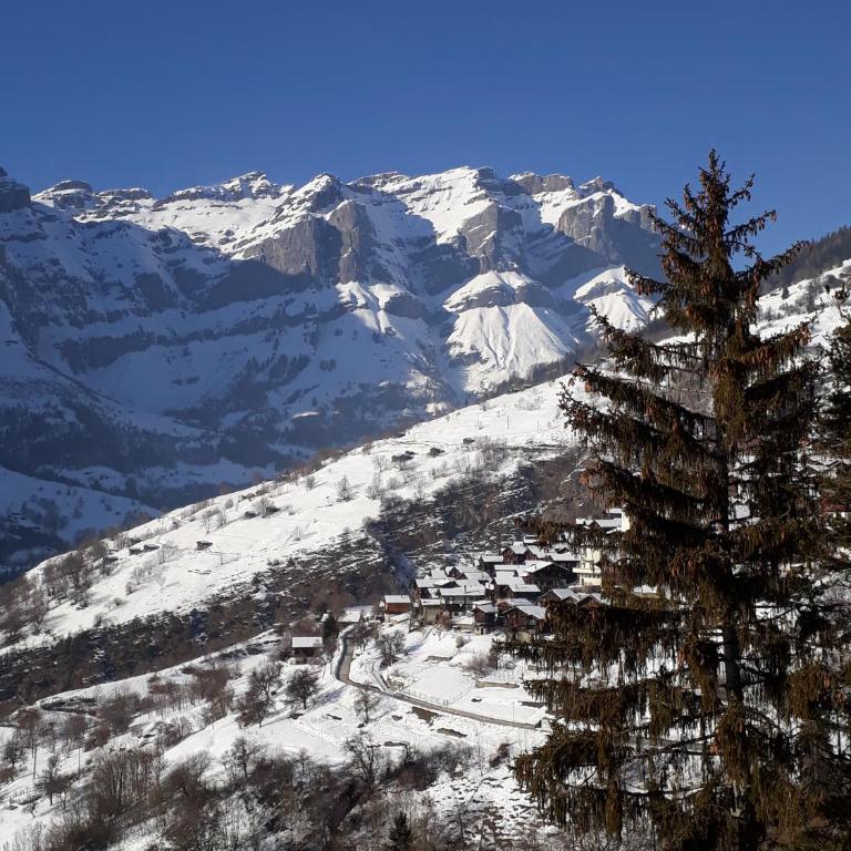 Haus Stadel Wohnung Nr. 36 - Apartment mit Blick auf die Berge - 33