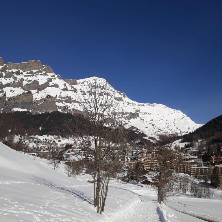 Haus Stadel Wohnung Nr. 36 - Apartment mit Blick auf die Berge - 38