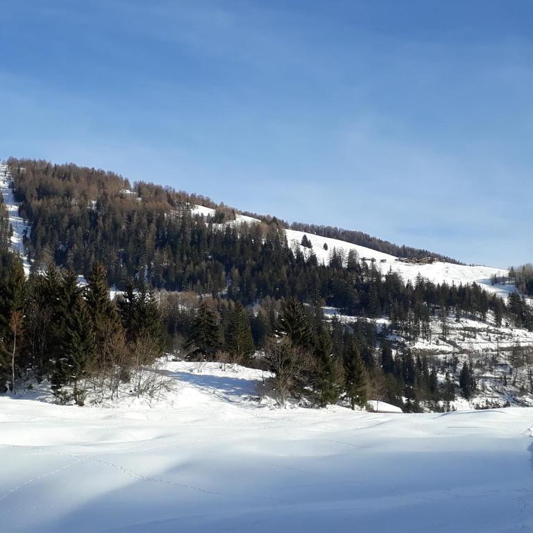 Haus Stadel Wohnung Nr. 36 - Apartment mit Blick auf die Berge - 34