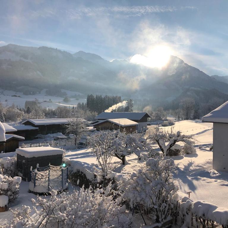 Gästehaus Aurikel 16 - Apartment mit Blick auf die Berge - 12