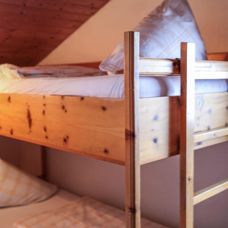 Friedlwirt-Kraftplatz Natur - Chambre Familiale avec Balcon - 9