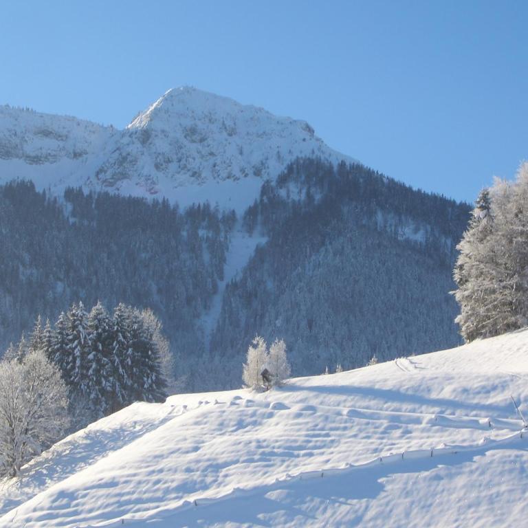 Haus Bergschmied - Apartment mit Blick auf die Berge - 24