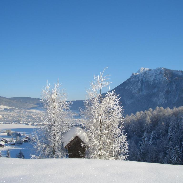 Haus Bergschmied - Apartment mit Blick auf die Berge - 22