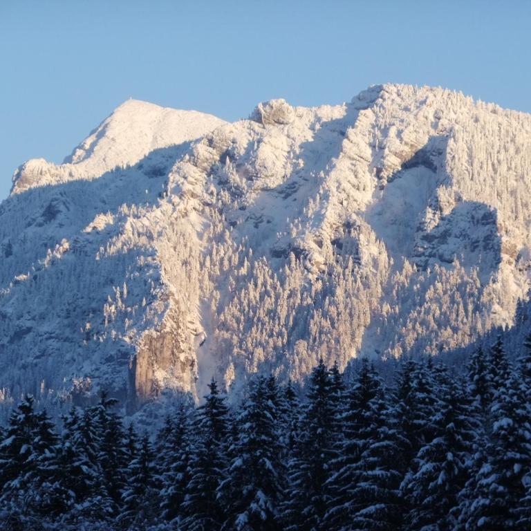 Haus Bergschmied - Apartment mit Blick auf die Berge - 21