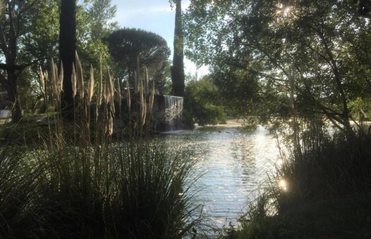 Appartement village 7 en résidence de vacances en Camargue - Apartamento de 1 dormitorio - 12