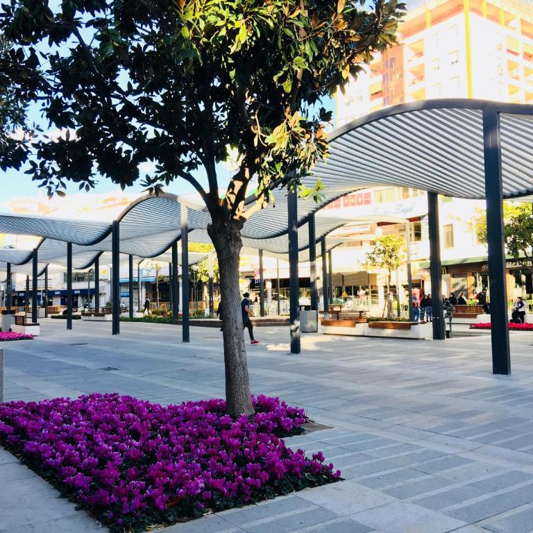 New Central Studio Torremolinos - Apartamento Estudio - 60