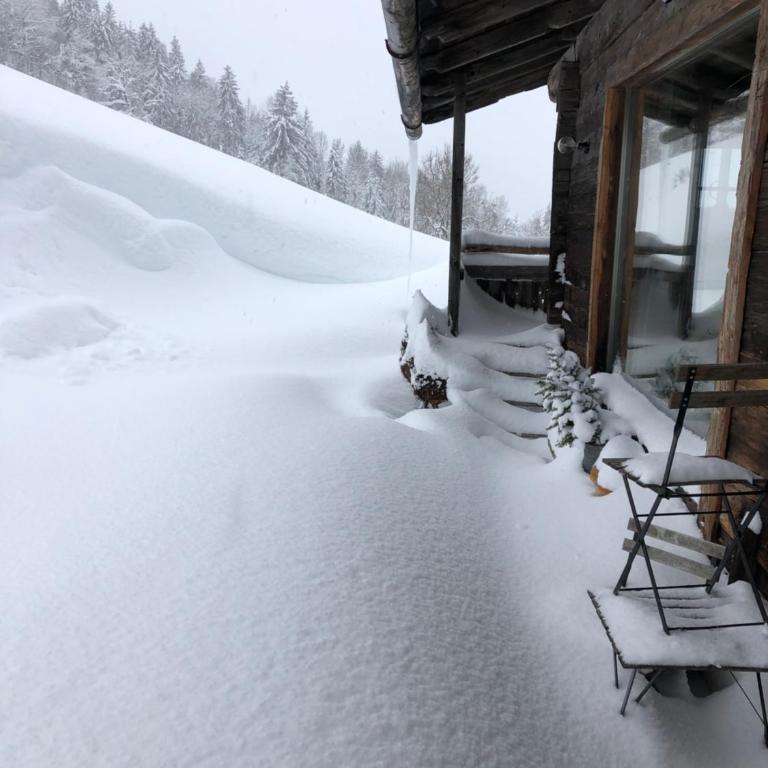 Auhäuslalm - Chalet - 5